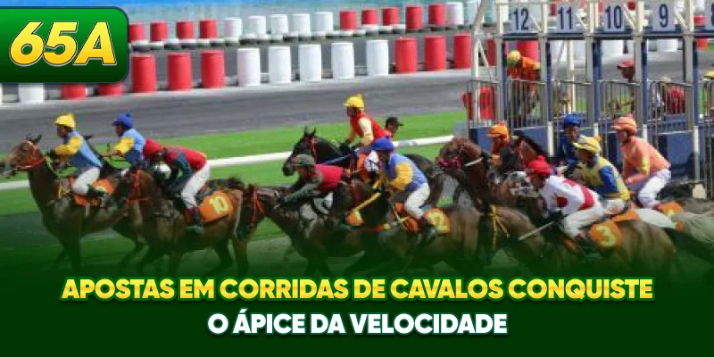 Apostas Em Corridas De Cavalos - Conquiste O Ápice Da Velocidade