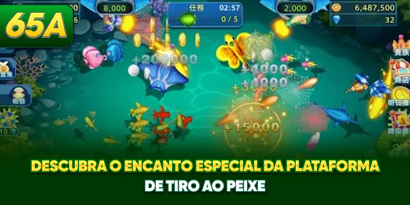 Descubra o encanto especial da plataforma de tiro ao peixe