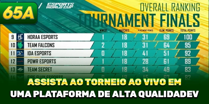 Assista ao torneio ao vivo em uma plataforma de alta qualidade 