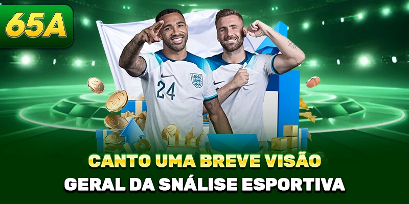 Canto Uma breve visão geral da Snálise esportiva 
